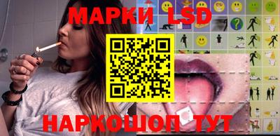 шишки Будённовск