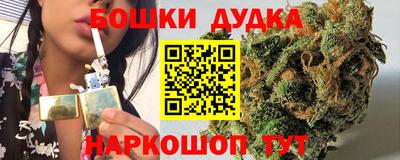 шишки Будённовск