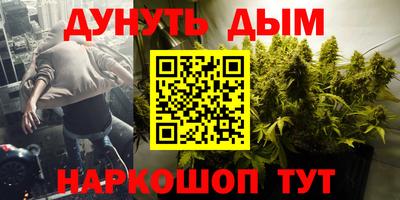 шишки Будённовск