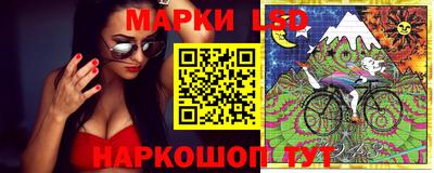 шишки Будённовск
