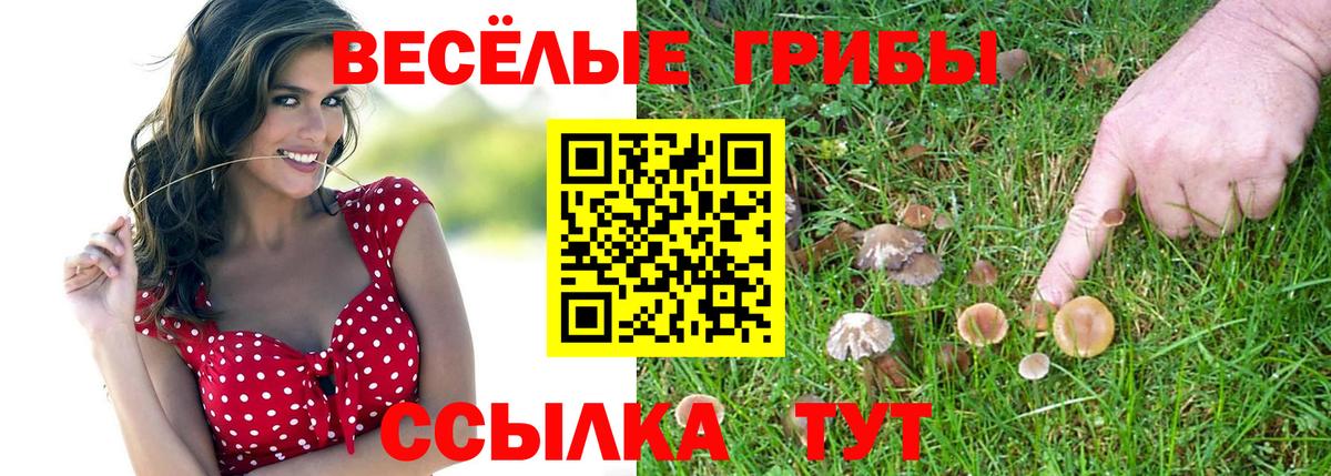 Галлюциногенные грибы Magic Shrooms Нововоронеж